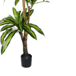 Διακοσμητικό φυτό Dracaena I σε γλάστρα Inart  πράσινο pp Υ170εκ-PK316-000009 - Image 3