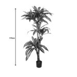 Διακοσμητικό φυτό Dracaena I σε γλάστρα Inart  πράσινο pp Υ170εκ-PK316-000009 - Image 4