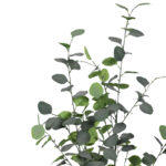 Διακοσμητικό φυτό Eucalyptus σε γλάστρα Inart πράσινο pp Υ120εκ-PK316-000014 - Image 2