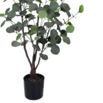 Διακοσμητικό φυτό Eucalyptus σε γλάστρα Inart πράσινο pp Υ120εκ-PK316-000014 - Image 3