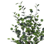 Διακοσμητικό φυτό Eucalyptus Ι σε γλάστρα Inart πράσινο pp Υ150εκ-PK316-000015 - Image 2
