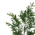 Διακοσμητικό φυτό Olive tree I σε γλάστρα Inart πράσινο pp Υ150εκ-PK316-000017 - Image 2