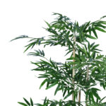 Διακοσμητικό φυτό Bamboo σε γλάστρα Inart πράσινο pp Υ130εκ-PK316-000018 - Image 2