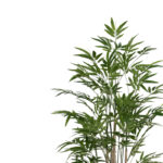 Διακοσμητικό φυτό Bamboo I σε γλάστρα Inart πράσινο pp Υ150εκ-PK316-000019 - Image 2