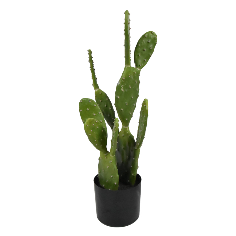 316-000021 Διακοσμητικό φυτό Cactus σε γλάστρα Inart πράσινο pp Υ64εκ-PK316-000021 - Image 1