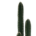Διακοσμητικό φυτό Cactus III σε γλάστρα Inart πράσινο pp Υ85εκ-PK316-000024 - Image 2