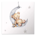 Πίνακας σε καμβά "Baby Bear" Megapap ψηφιακής εκτύπωσης 40x40x3εκ. - GP033-0106